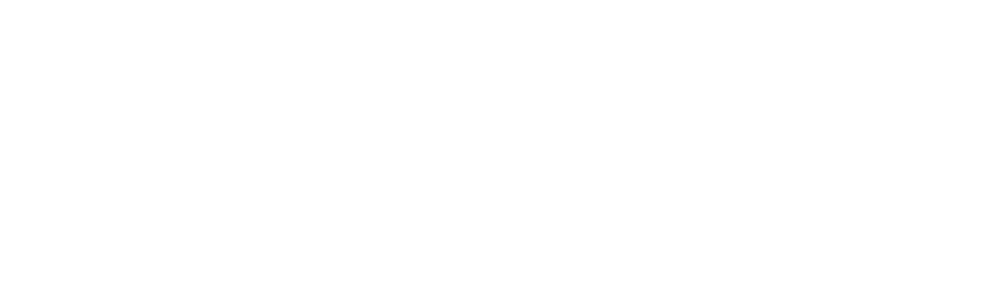 ATEGO Automotive - Since 2004